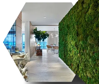 Vertical Gardens